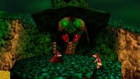 Capa de Banjo-Kazooie
